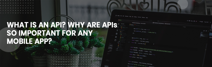 What is an API Why are APIs so important for any mobile app-Promatics Technologies