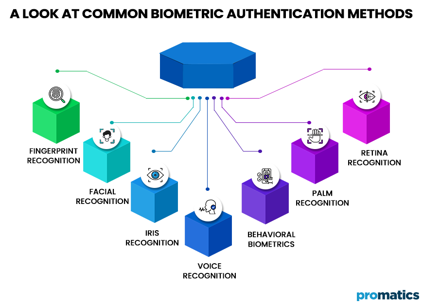 A Look at Common Biometric Authentication Methods