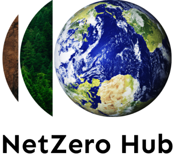 NetZero Hub International logo